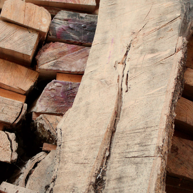 Slabs d'érable en préparation - Forêt Laurentienne